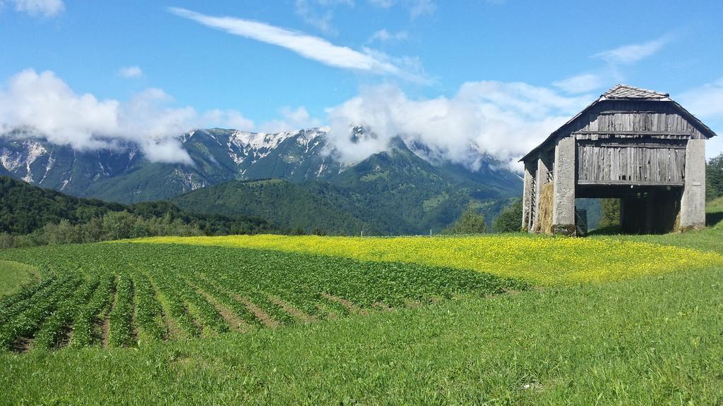Apartmaji Pr-Gujlu Sela Nad Podmelcem 5220 Tolmin Podmelec Екстериор снимка